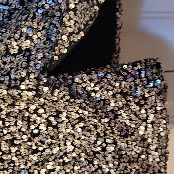Maurice's Large Sequined Mini - Picture 3 of 10